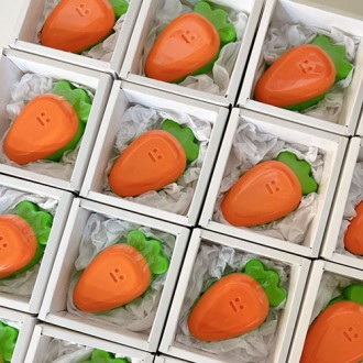 ���ǰ ĳ�� ��� ������ �ֹ����� �ڵ���̵�