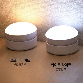 ��Ʈ ���� ���� ����Ʈ ������ [��������] 