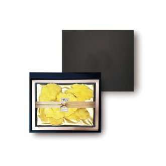 �������� ǰ�� ��Ȳ��Ʈ ��Ȳ���� 100%