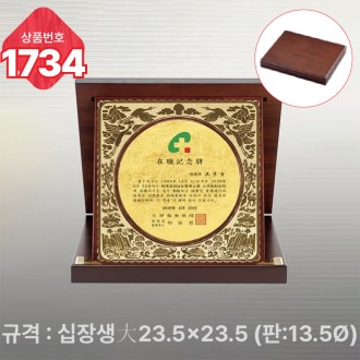 �Ϲ� ���� 1734