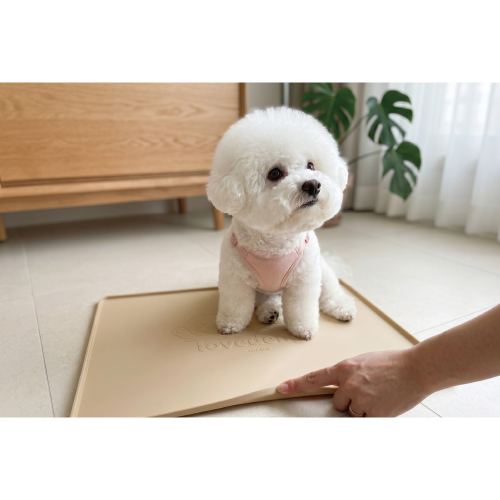 �� �Ǹ��� ������ �躯��Ʈ