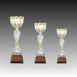 ��� ��ȸ �û� Ʈ���� �縣��� D �ֹ�����